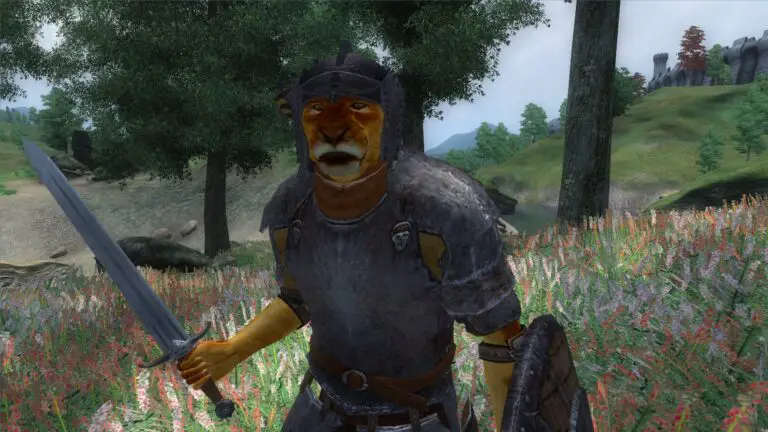 A Khajiit warrior in The Elder Scrolls 4: Oblivion