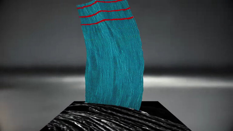 3D visualization of the virtual unwrapping process of an ancient Roman scroll