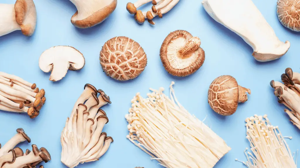 Flat lay of edible mushrooms on blue background close up.