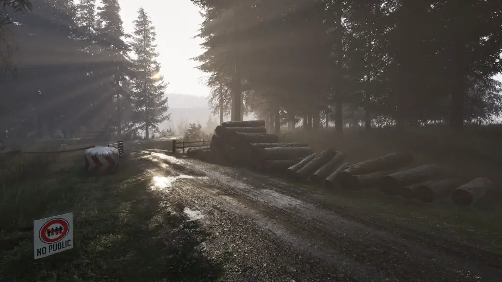 Loose logs line a race track in Assetto Corsa Rally, posing a hazard to passing cars.
