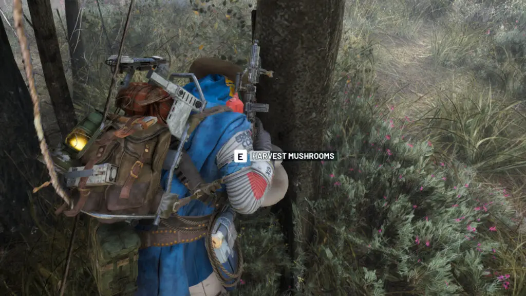 Arc Raiders mushroom locations: A player wearing a bright blue poncho collecting a mushroom from a tree.
