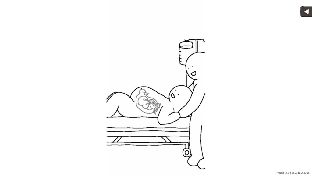 Branch placement in Tingus Goose