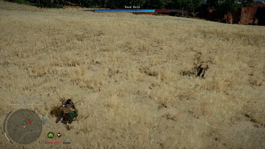 Crimson Desert Combat Strategy