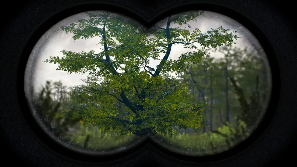 Birding Simulator: Bird Photographer showing a bird through some binoculars in a tree