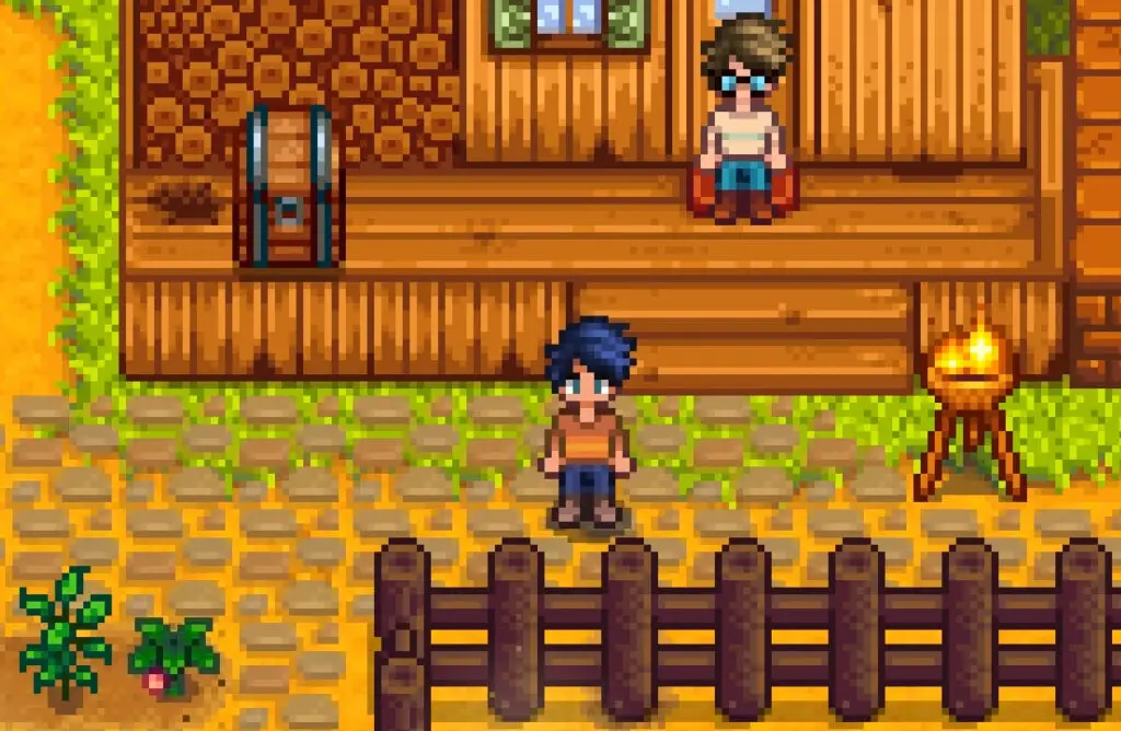 A hidden secret in Stardew Valley