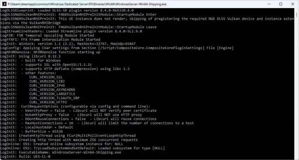 Windrose server terminal